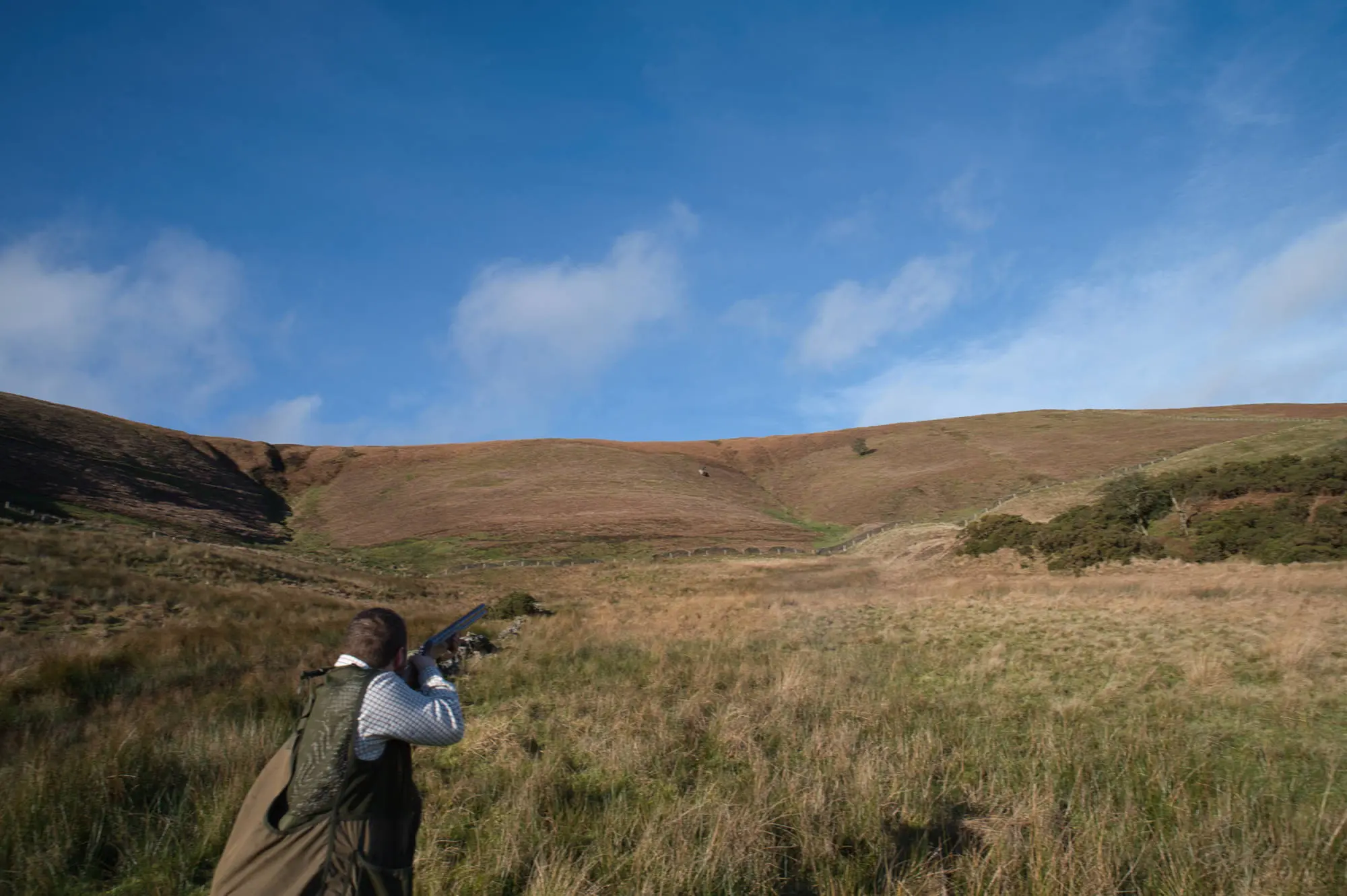 https://countrypursuitsphotography.co.uk